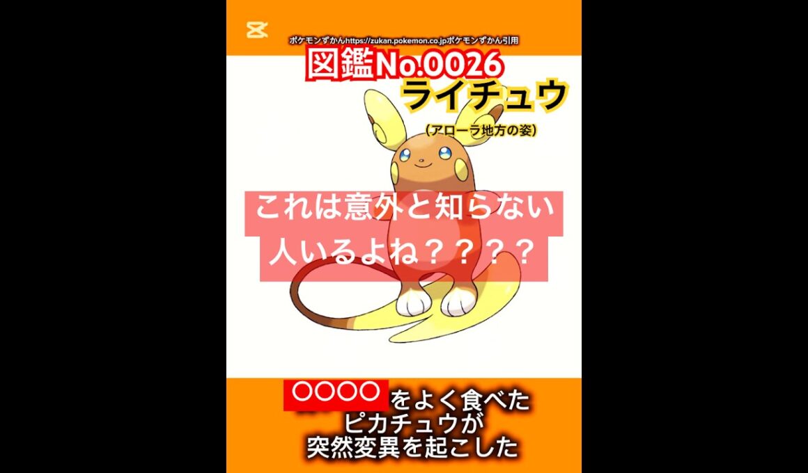 ポケモン雑学【ライチュウ（アローラ地方の姿）】#ポケモン #pokémon #pokemon #ポケモンsv #pokemongo #JAPAN #japanese #ライチュウ #ポケポケ