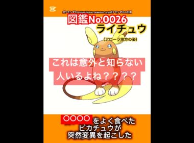ポケモン雑学【ライチュウ（アローラ地方の姿）】#ポケモン #pokémon #pokemon #ポケモンsv #pokemongo #JAPAN #japanese #ライチュウ #ポケポケ
