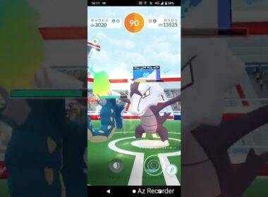 ポケモンGO「ソロレイドでガラガラ（アローラのすがた）をGETするまで」（28）