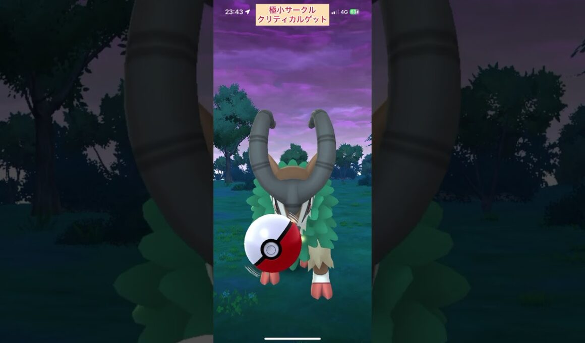 【難易度低】ゴーゴート極小サークルクリティカルゲット【ポケモンGO】