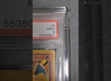 Who's that Pokemon? No.6 ( Charizard ) 포켓몬 리자몽