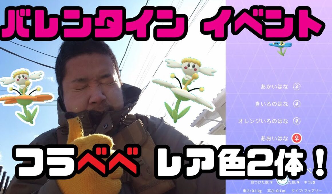 【ポケモンGO】バレンタインイベント！フラべべのレア色2体を求めて