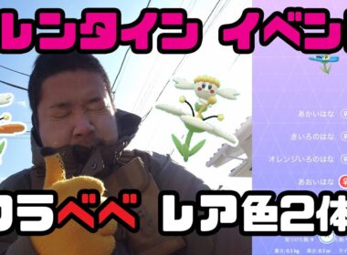 【ポケモンGO】バレンタインイベント！フラべべのレア色2体を求めて