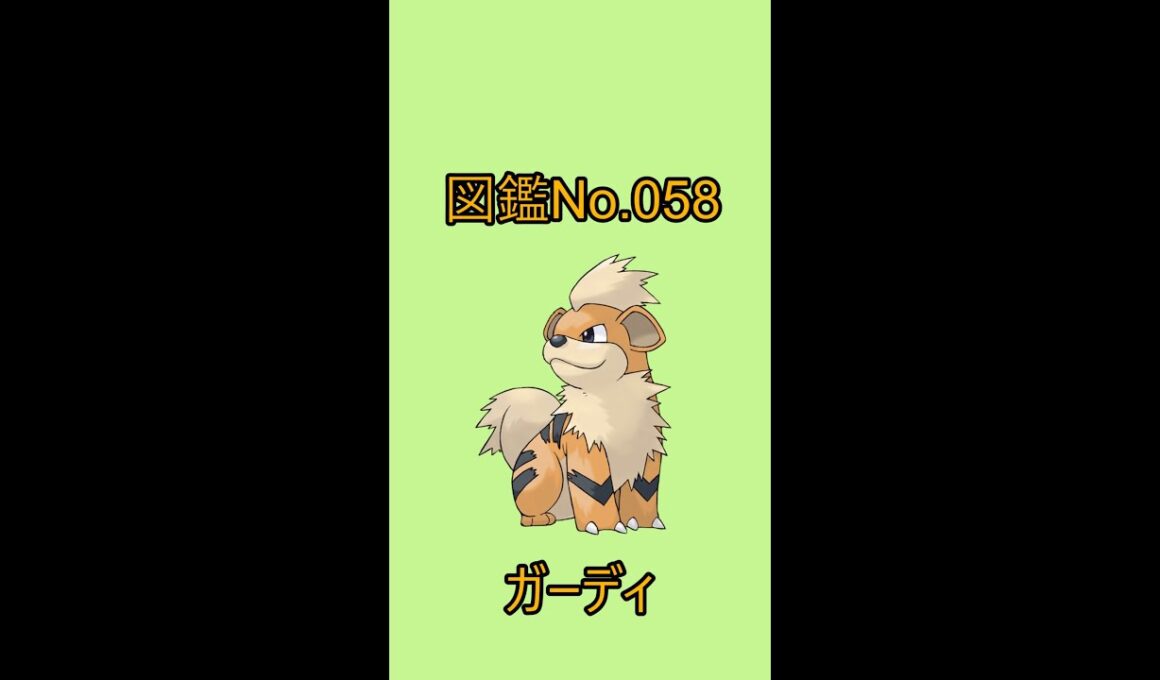 【ポケットモンスター】ポケモン図鑑じっくり解析シリーズ！ーNo.058ガーディー#Shorts