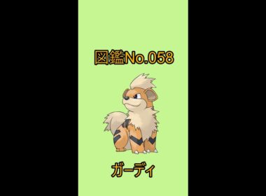 【ポケットモンスター】ポケモン図鑑じっくり解析シリーズ！ーNo.058ガーディー#Shorts