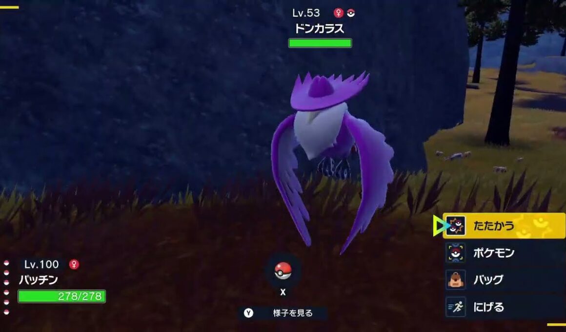 ドンカラス　色違い