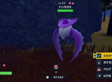 ドンカラス　色違い