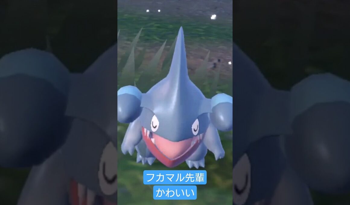 ✨Kirahuka✨ #ポケモンsv #short #フカマル