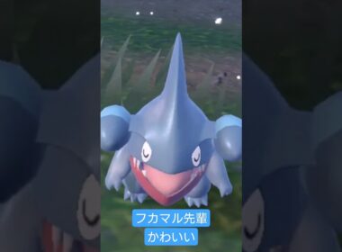 ✨Kirahuka✨ #ポケモンsv #short #フカマル