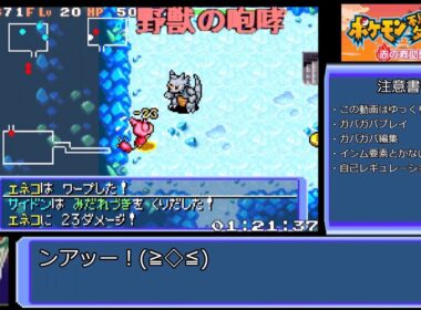 【コメ付きRTA】ポケモン不思議のダンジョン赤の救助隊 エネコ願いの洞窟RTA 1時間41分50秒【ゆっくり実況】