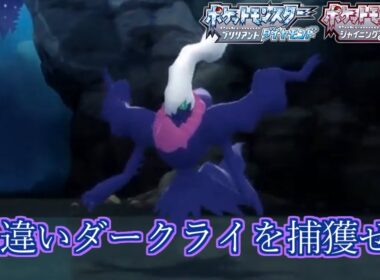 （２７７０回目～）色違いダークライをムーンボールでゲットしよう