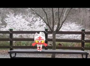 냐오불 ( Litten ) ニャビー ( 火斑喵 )  (16:9)