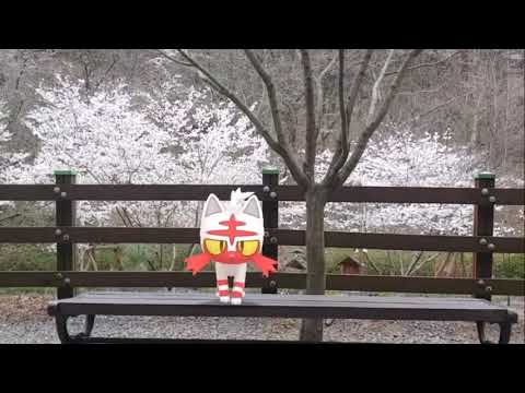 냐오불 ( Litten ) ニャビー ( 火斑喵 )  (16:9)