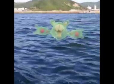 란쿨루스 ( Reuniclus ) ランクルス ( 人造細胞卵 )