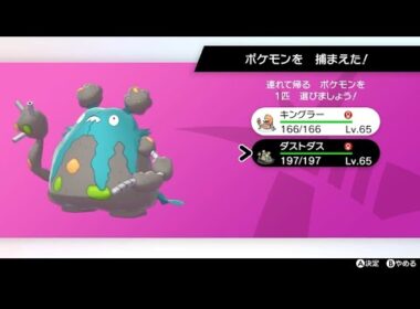 色違いダストダス