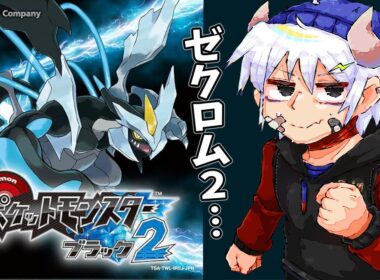 ゼクロム（２）に…！！初見ポケモンBW2！！【ポケモンブラック2・ホワイト2】 #5