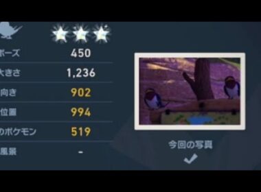 悪用したい位置の仕様【New ポケモンスナップ】