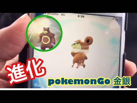 ポケモンGO金銀ヒメグマをリングマに進化するシーンだよー