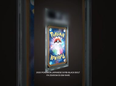 【ポケカ】神開封で出たBWRゼクロム＆レシラムをPSA10に出してみたら…？ #shorts  #ポケモンカード #pokemon