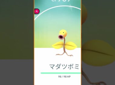 #shorts◇色違いマダツボミ　ED相棒出現【ポケモンGO】#630