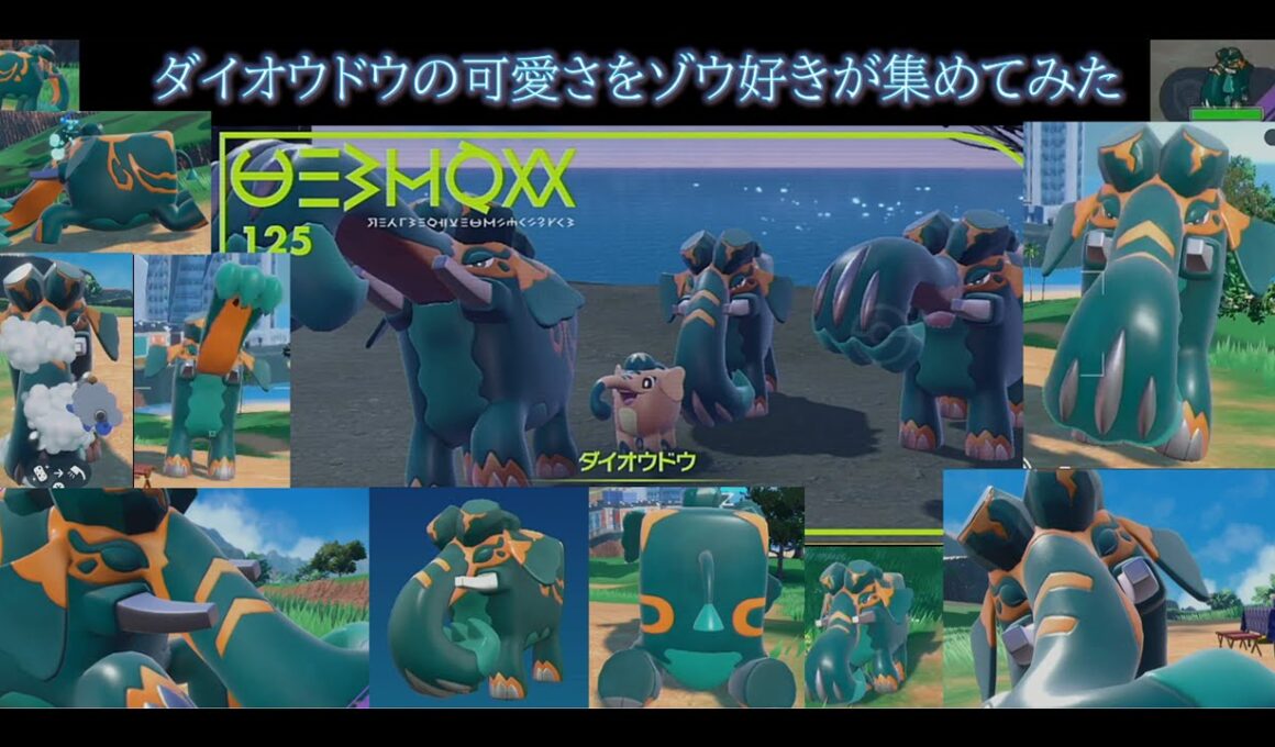 ダイオウドウの可愛さをゾウ好きが集めてみた