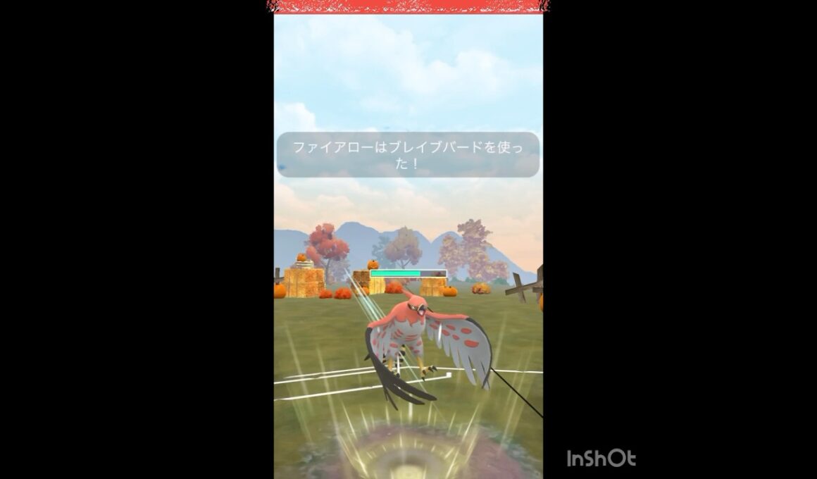 ファイアローは頼りになる‼️