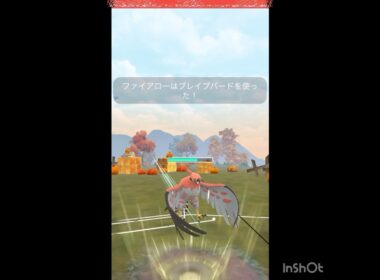 ファイアローは頼りになる‼️