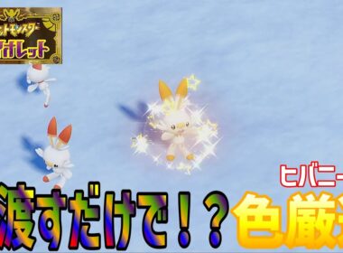 【ポケモンsv】御三家ヒバニーの色厳選していく！！