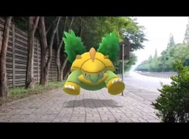 수풀부기 ( Grotle ) ハヤシガメ ( 樹林龜 )  (16:9)