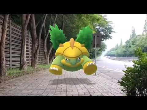 수풀부기 ( Grotle ) ハヤシガメ ( 樹林龜 )  (16:9)