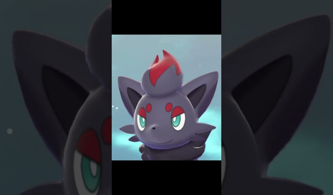 リザードン級のカレーを食べたゾロアの反応　#Shorts