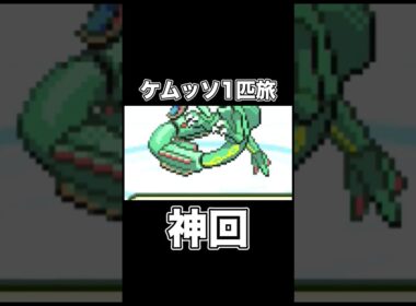 ケムッソでレックウザを捕獲しに行ったら神回が生まれました。