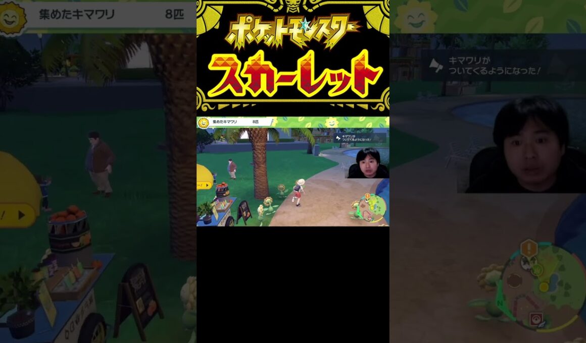 ポケットモンスター スカーレット#74 キマワリを探せ3　#shorts  #ポケモンsv