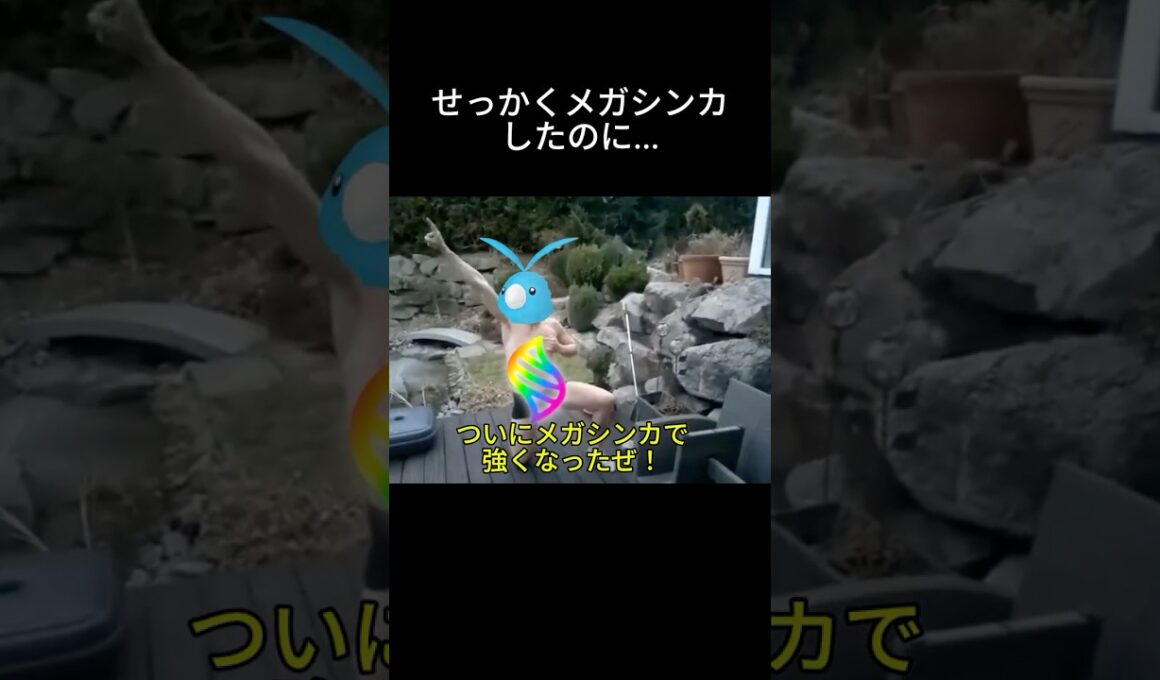 ポケポケにメガチルタリスが登場！？ #ポケポケ #ポケモン #メガシンカ