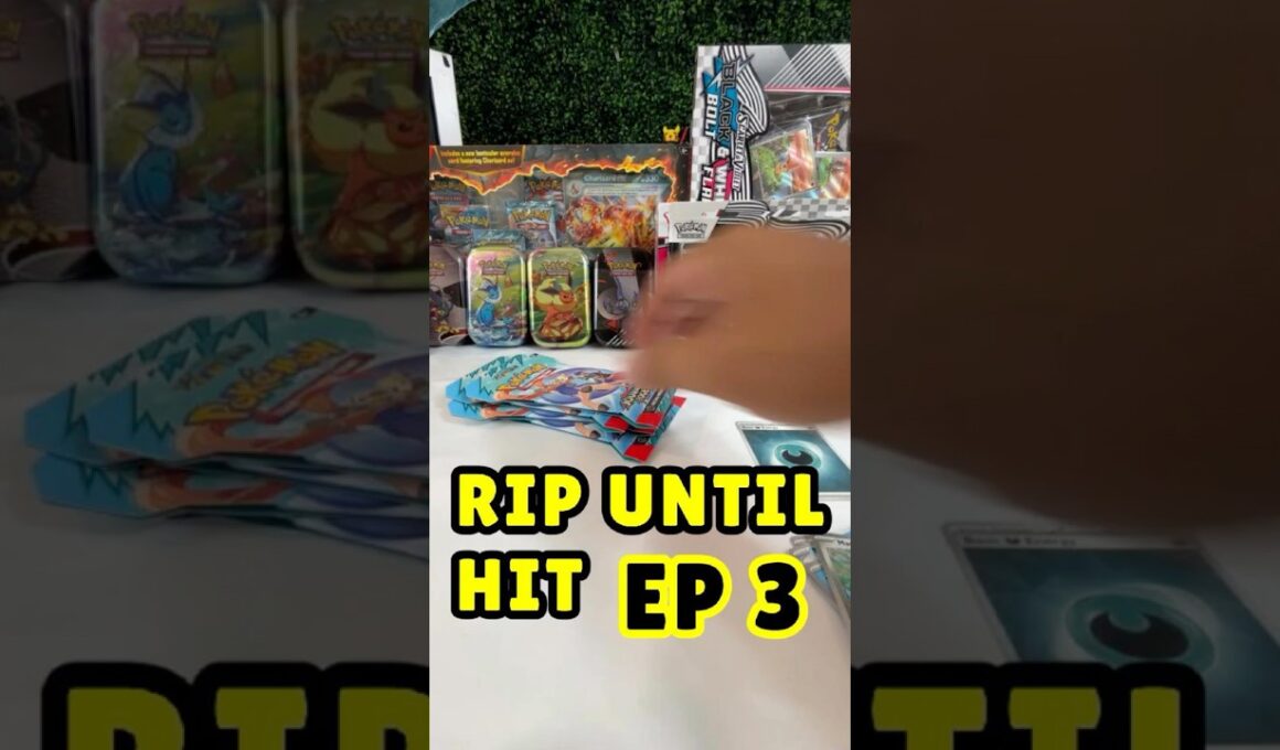 Rip until hit ep 3 (RIBOMBEE)