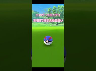 【ポケモンGO】色違い何体⁉ニャビーを３時間捕まえ続けた結果!! #アニメ #ポケモン #pokemongo #色違い＃ニャビー