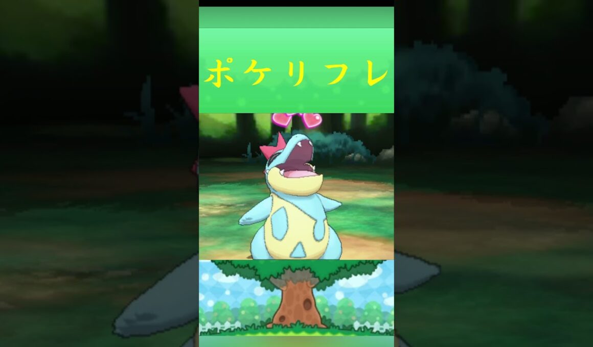 ポケモン アリゲイツ ポケリフレ ポケパルレ #ポケモン #Pokemon  #3DS #ポケモン技 #ポケモンsv #ポケモン #ふれあい #キャンプ #カレー #サンドイッチ #ピクニック