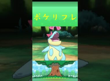ポケモン アリゲイツ ポケリフレ ポケパルレ #ポケモン #Pokemon  #3DS #ポケモン技 #ポケモンsv #ポケモン #ふれあい #キャンプ #カレー #サンドイッチ #ピクニック