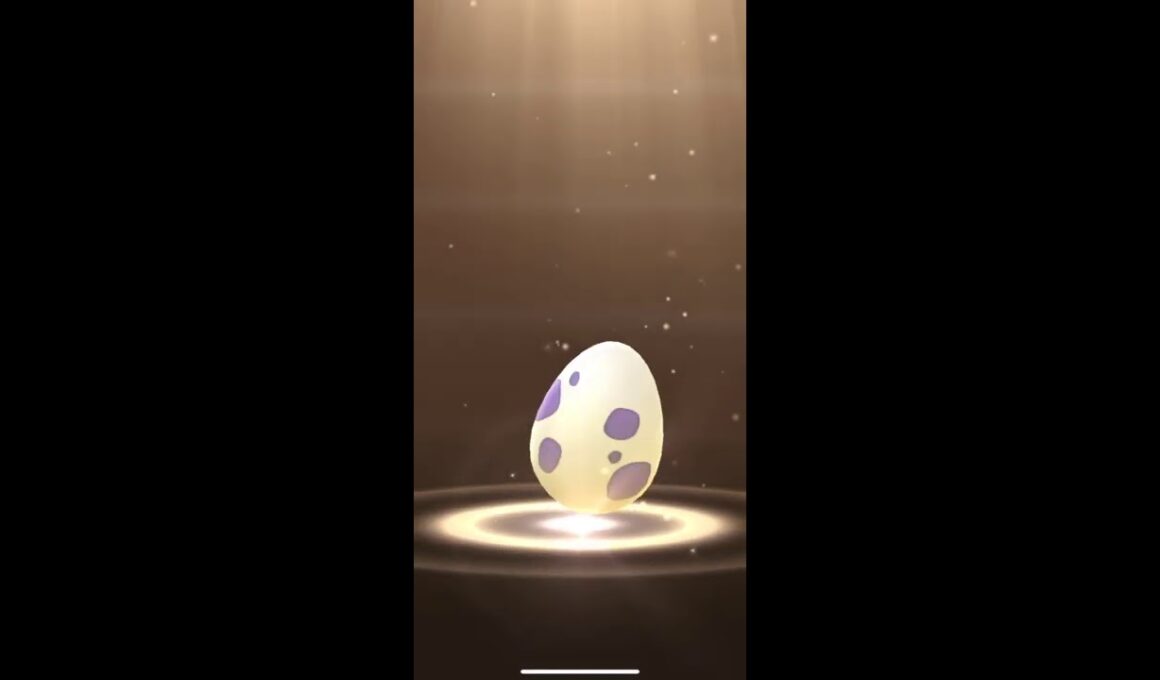 【ポケモンGO】 10kmタマゴ 孵化🔥 コリンク編