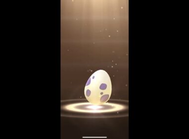 【ポケモンGO】 10kmタマゴ 孵化🔥 コリンク編
