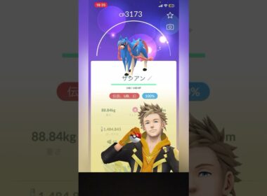 レイドアワー振り返り!#ザシアン#ムゲンダイナ#ポケモンGO#ポケモン#ザマゼンタ#レイド#ゲーム実況 #振り返り#shorts#ぎゅう#ぎゅうたんです #伝説#伝説のポケモン #pokemongo