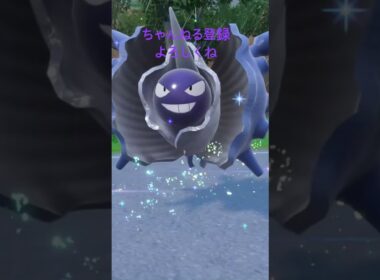 色違いシェルダー進化 #ポケモン #色違いポケモン #ポケモンsv