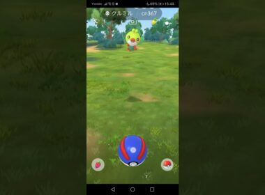 ポケモンGO! の コミュニティデイで 色違いのクルミルを 捕獲しました(*^^*)。