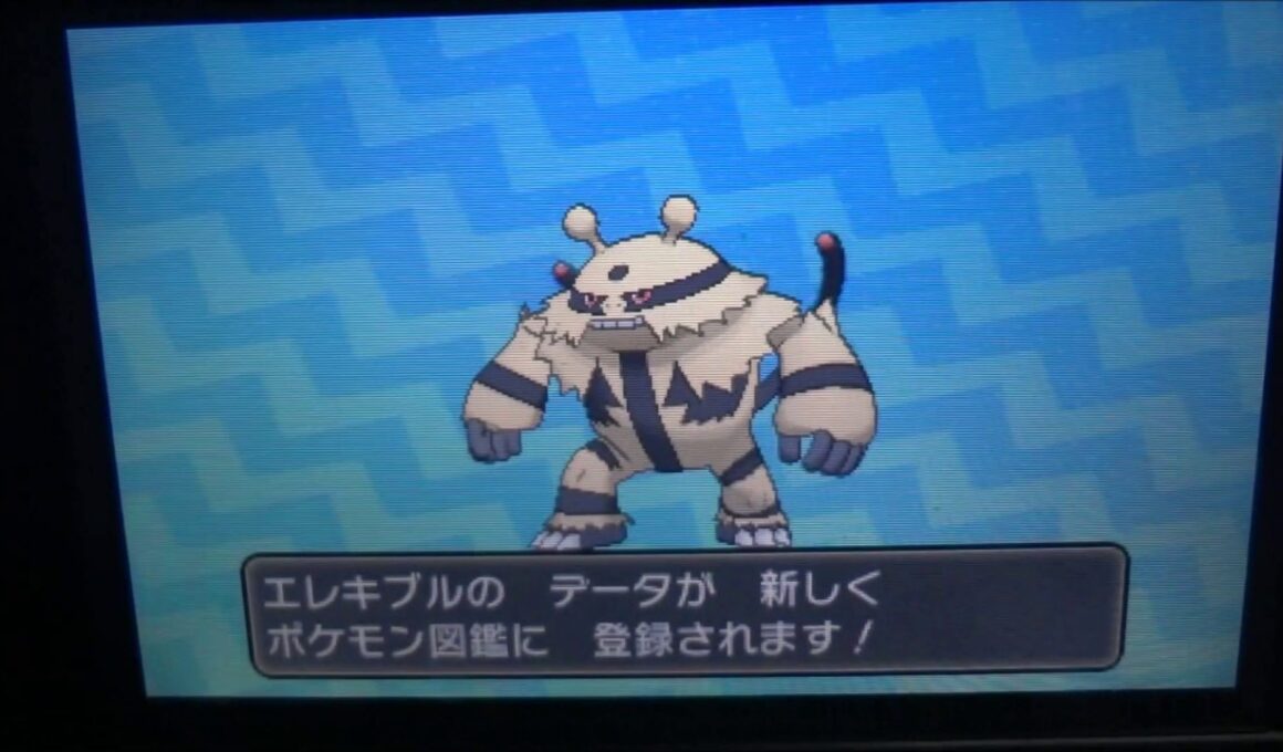 【交換進化】227エレブー→228エレキブル ポケットモンスター サン・ムーン