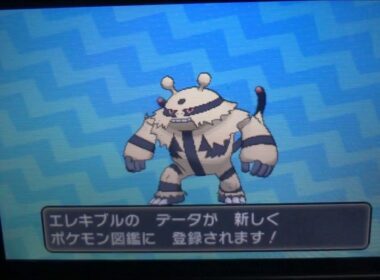 【交換進化】227エレブー→228エレキブル ポケットモンスター サン・ムーン