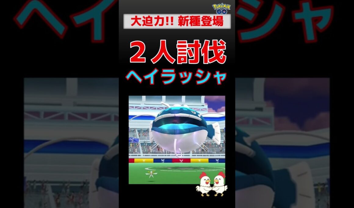 予告編【新種！ ヘイラッシャ、2人討伐】 ビーチバッシュイベント #ポケモンgo #ポケモン #レイドバトル #新種 #ヘイラッシャ #カミツルギ #ゼクロム