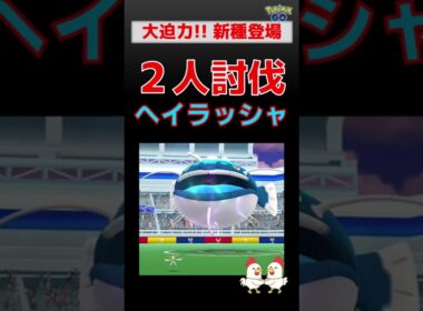 予告編【新種！ ヘイラッシャ、2人討伐】 ビーチバッシュイベント #ポケモンgo #ポケモン #レイドバトル #新種 #ヘイラッシャ #カミツルギ #ゼクロム