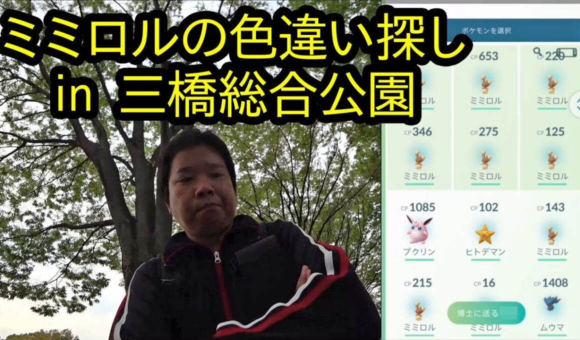 【ポケモンGO】三橋公園でミミロルの色違い探し