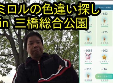 【ポケモンGO】三橋公園でミミロルの色違い探し
