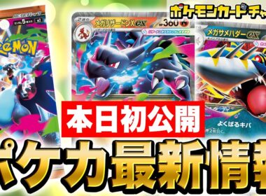 【本日初公開】炎・悪が超強化！？メガリザードンXexやメガサメハダーex、新サポートのひふきやろうやギーマの一手などを解説！【インフェルノX/ポケカ/ポケモンカード】